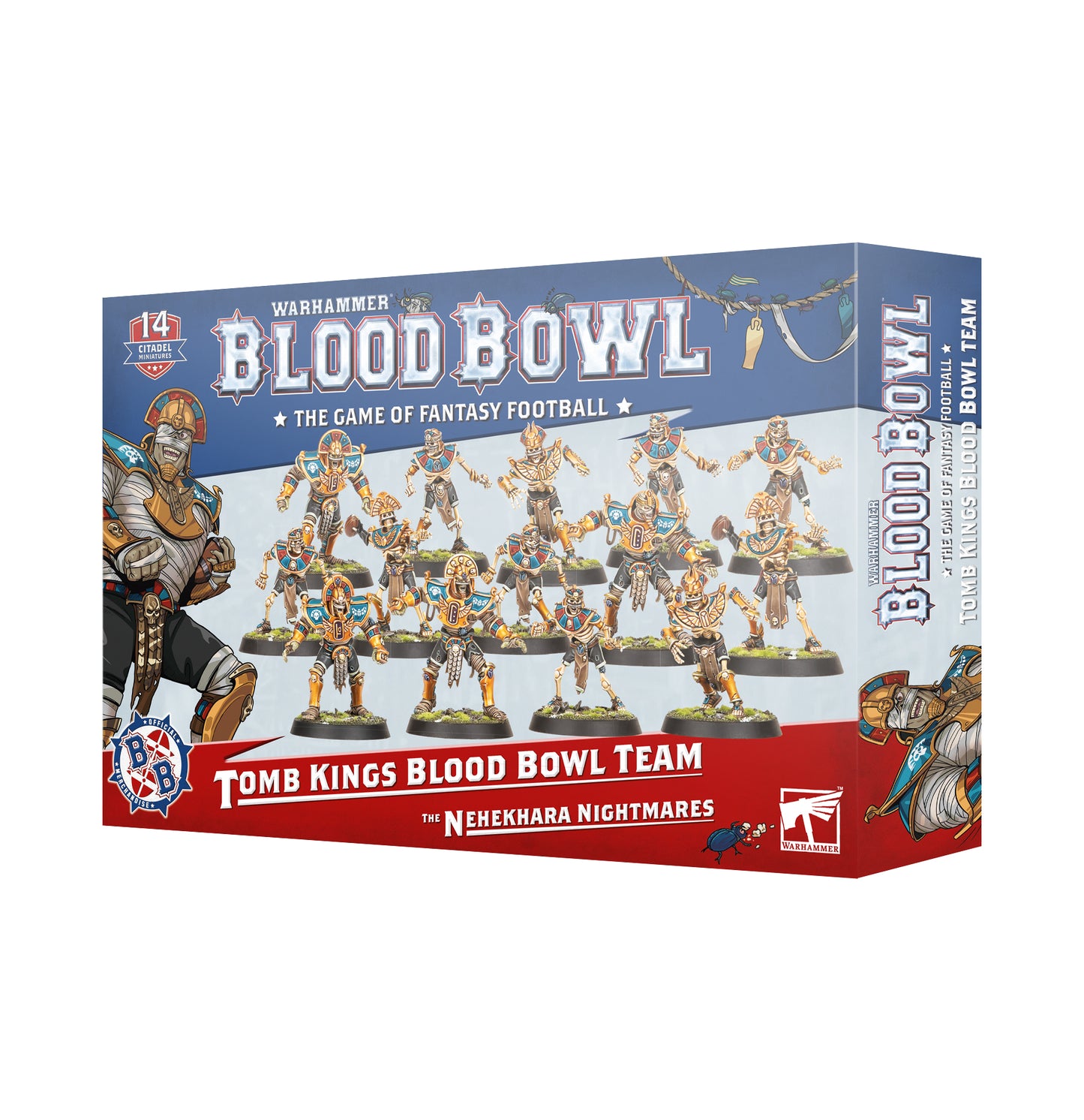 Warhammer Dark Elf Blood Bowl Team The Naggaroth Nightmares