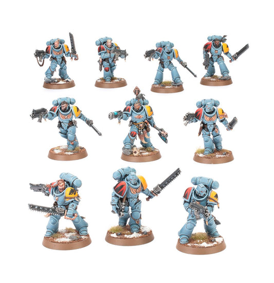 Space Wolves  - Grey Hunters