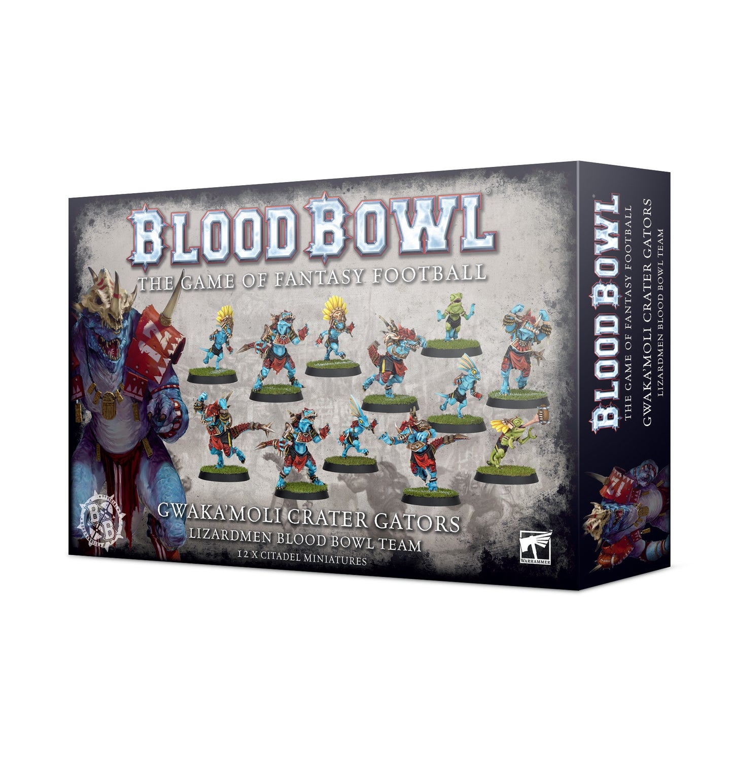 Warhammer Lizardmen Blood Bowl Team Gwaka'Moli Crater Gators