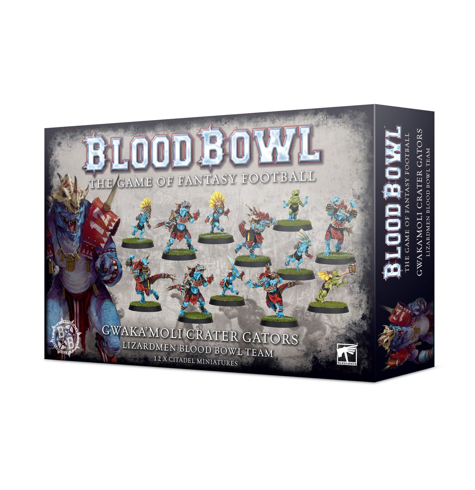 Warhammer Lizardmen Blood Bowl Team Gwaka'Moli Crater Gators