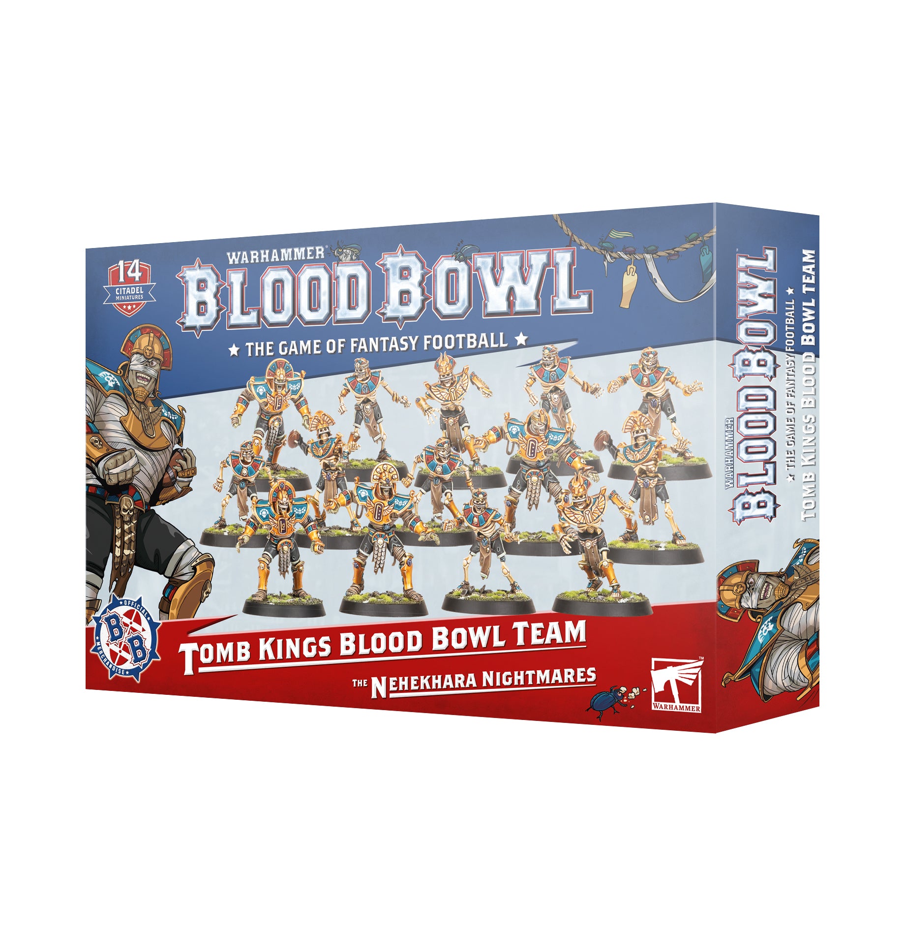 Warhammer Dark Elf Blood Bowl Team The Naggaroth Nightmares